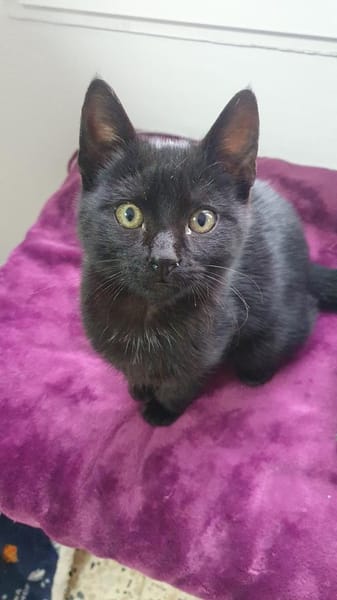 Tilo sucht Dich (gerne zusammen mit Sue)