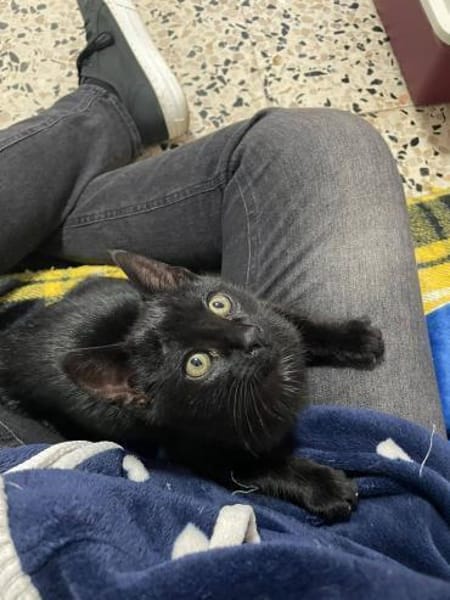 Tilo sucht Dich (gerne zusammen mit Sue)