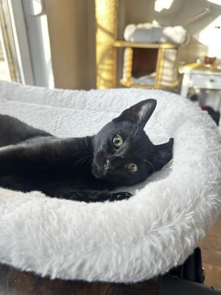 Tilo sucht Dich (gerne zusammen mit Sue)