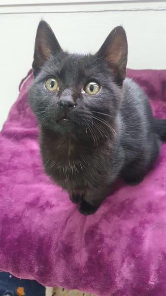 Tilo sucht Dich (gerne zusammen mit Sue)