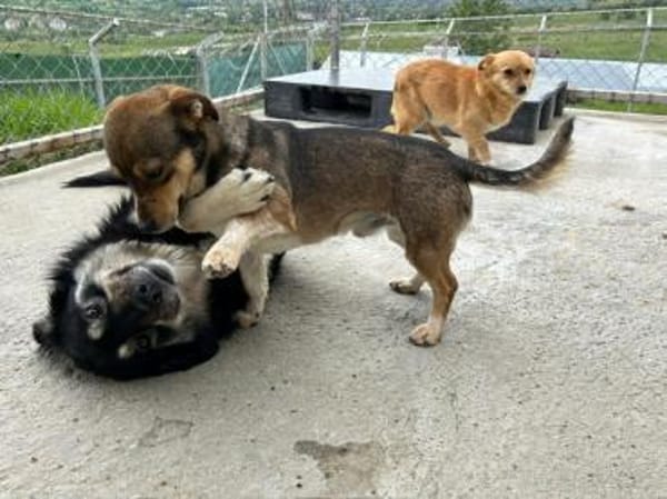 Schüchterner, super süßer CARLOS!