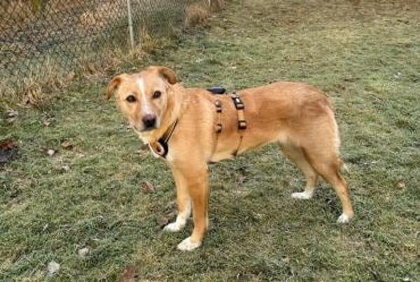 Wunderschöne Kira sucht ihre Familie