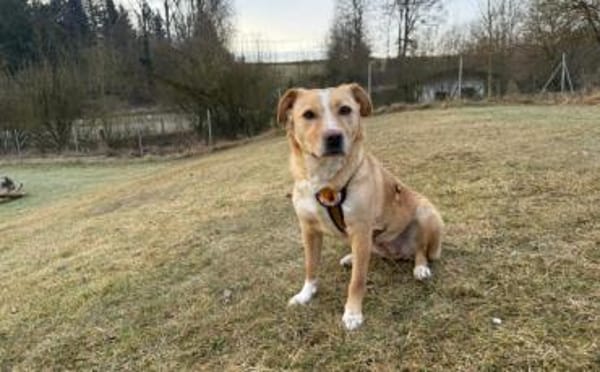 Wunderschöne Kira sucht ihre Familie