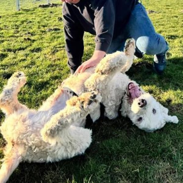 Olivia💕wäre gern Einzelprinzessin