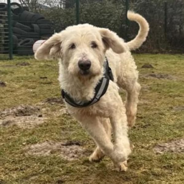 Olivia💕wäre gern Einzelprinzessin