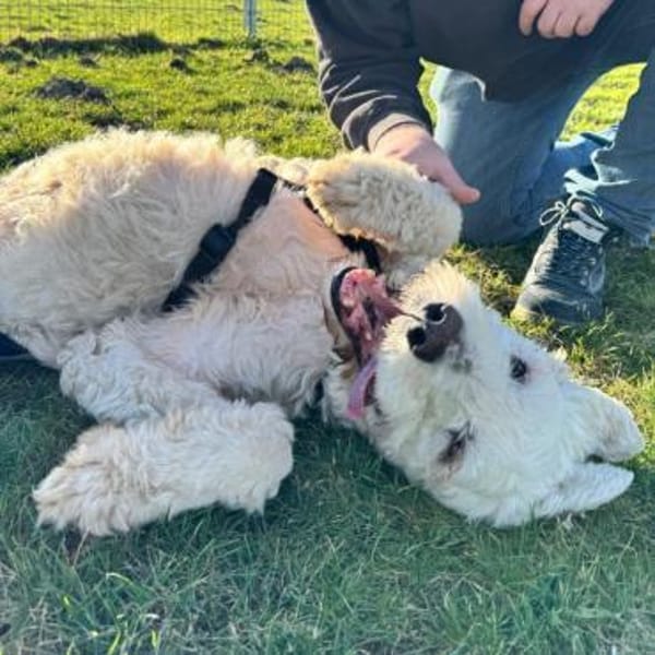 Olivia💕wäre gern Einzelprinzessin