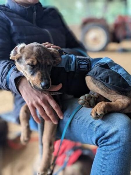 TOFFIE * Gute-Laune-Junge