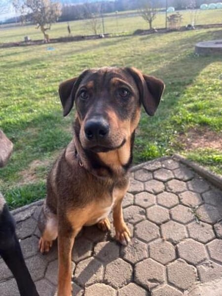 TOFFIE * Gute-Laune-Junge