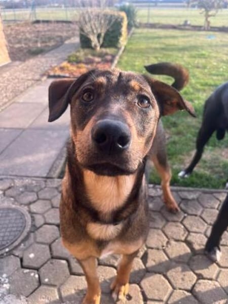 TOFFIE * Gute-Laune-Junge