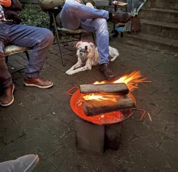 Treuer Charlie🌺 sucht liebevolles Heim