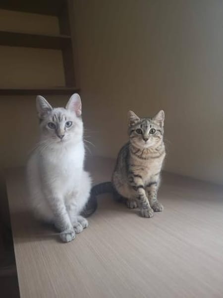 Kleine Sue sucht Dich