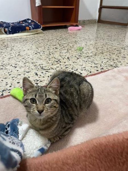 Kleine Sue sucht Dich