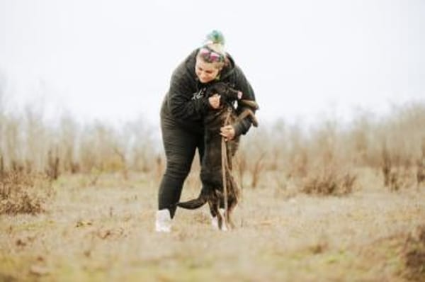 Sissi, stubenreine Hündin, ca. 2 Jahre