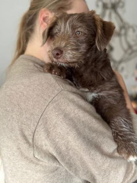 Marilyn, sanfte Welpenmaus, ca. 4 Monate