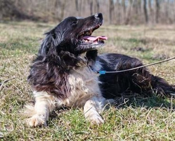 Jane sucht nach Liebe, liebt Kinder