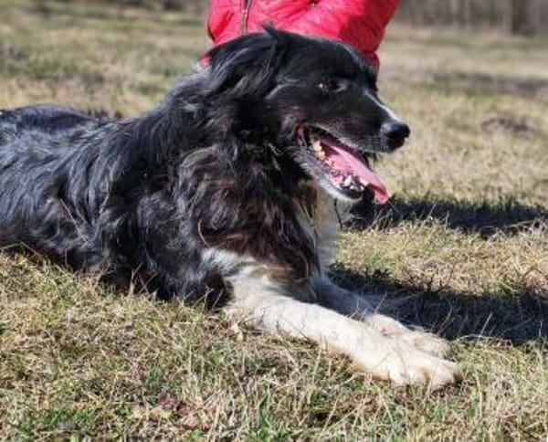 Jane sucht nach Liebe, liebt Kinder