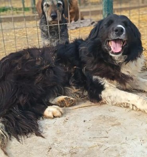 Jane sucht nach Liebe, liebt Kinder