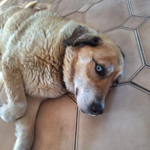 Mara ❤ Seniorin mit den schönsten Augen