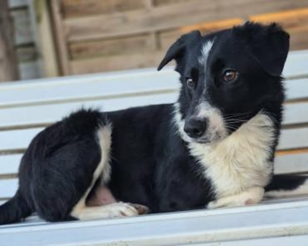 JOHN-BOY jetzt auf PS in 65... Hünfelden