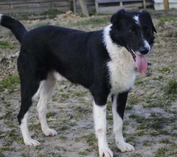 JOHN-BOY jetzt auf PS in 65... Hünfelden