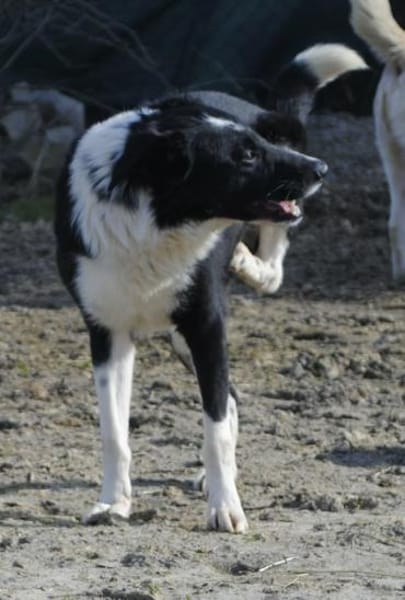 JOHN-BOY jetzt auf PS in 65... Hünfelden