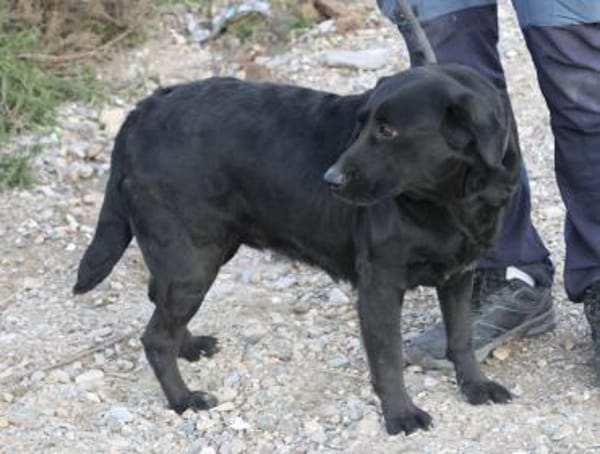 Liliana, ruhiges Wesen, freundlich,offen