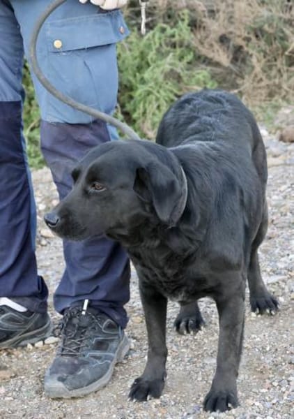 Liliana, ruhiges Wesen, freundlich,offen