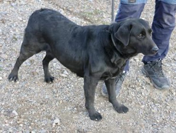 Liliana, ruhiges Wesen, freundlich,offen