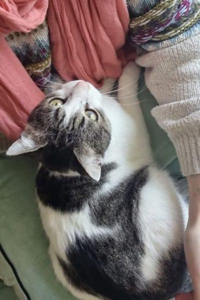 Akira 💗 wartet in 44809 Bochum