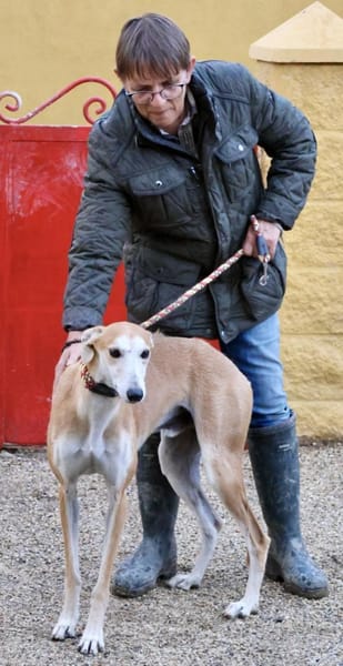 Coin, zutraulich, freundlich, lernwillig