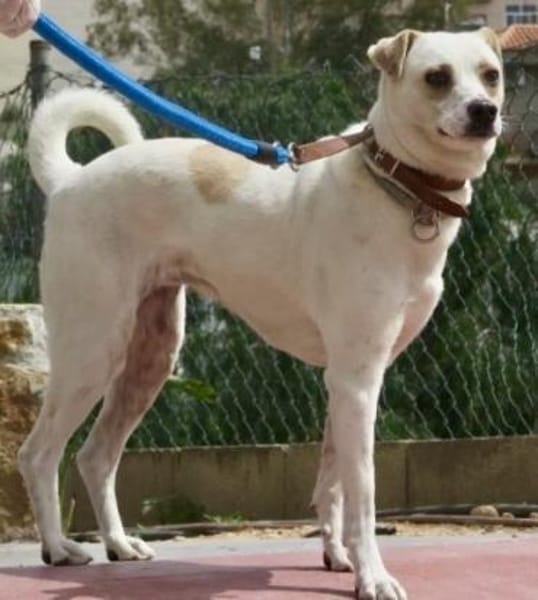 Coco, offen, menschenbezogen, neugierig