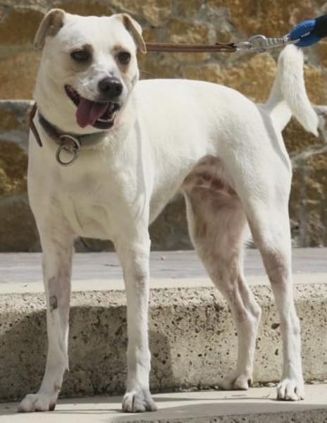 Coco, offen, menschenbezogen, neugierig