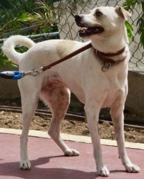 Coco, offen, menschenbezogen, neugierig