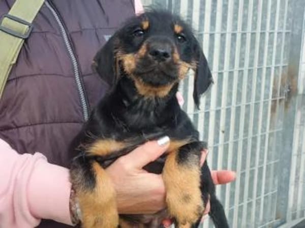 NICO - das Leben wartet