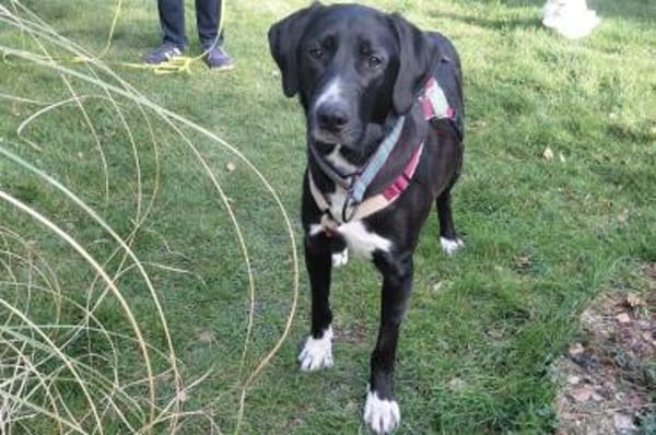 Alias - wartet in 44309 Dortmund