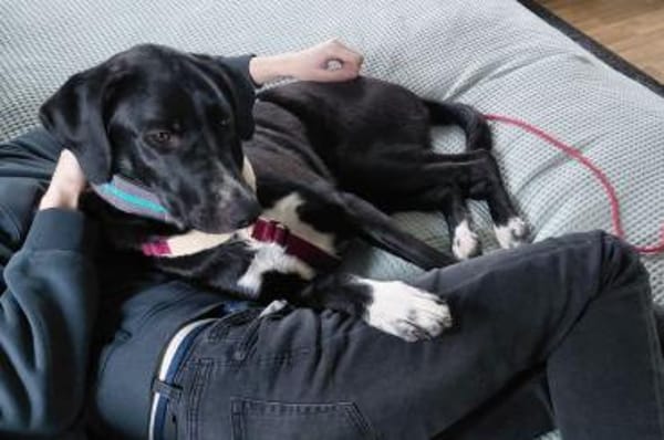 Alias - wartet in 44309 Dortmund