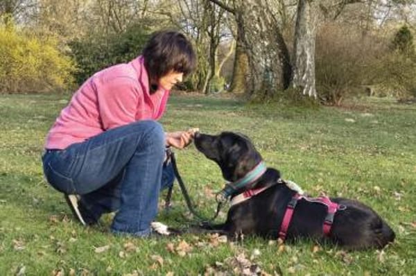 Alias - wartet in 44309 Dortmund