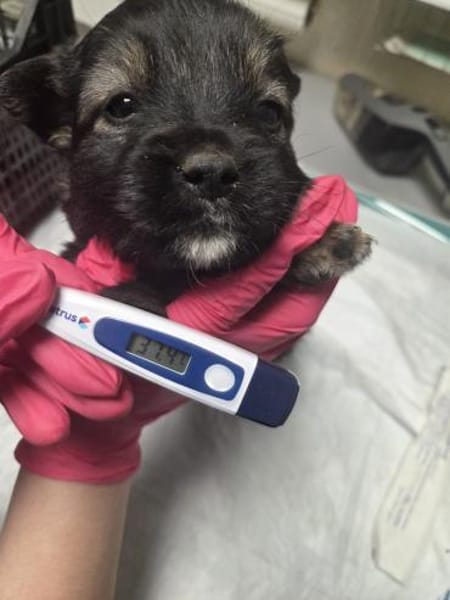 Zumba, das Jahr fängt ja gut an