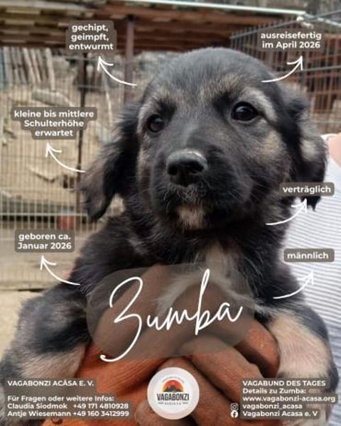 Zumba, das Jahr fängt ja gut an