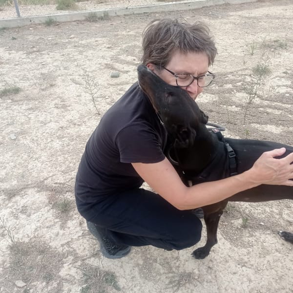 RASMIA, galga affectueuse  sans aucune peur