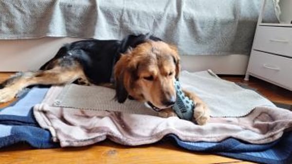 Beauty: bereit für eine eigene Familie