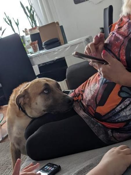 Pepe - sucht ein liebevolles Zuhause