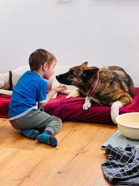 Wunderschöne Emma sucht ein Zuhause