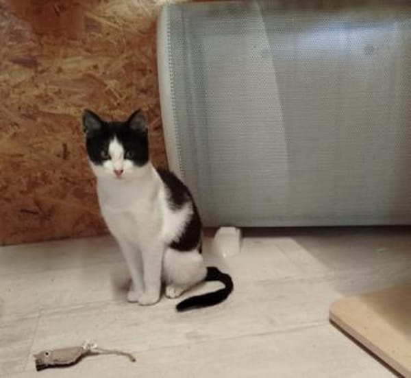 Yule - gute Futterverwerterin