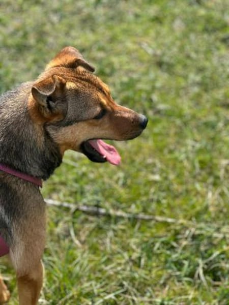 Lea, einfach nur perfekt und zuckersüß