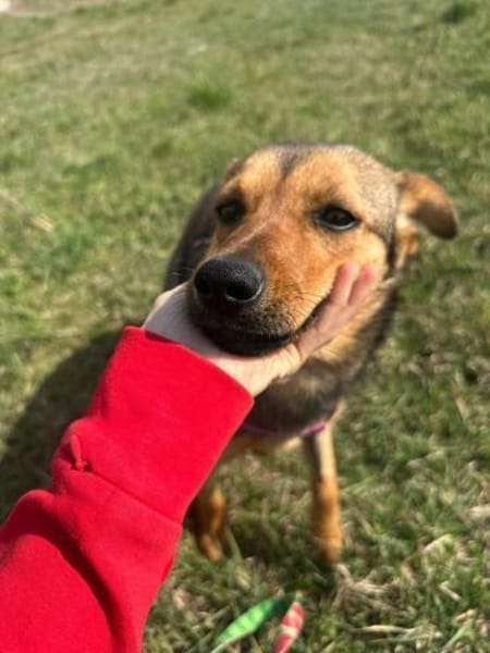 Lea, einfach nur perfekt und zuckersüß