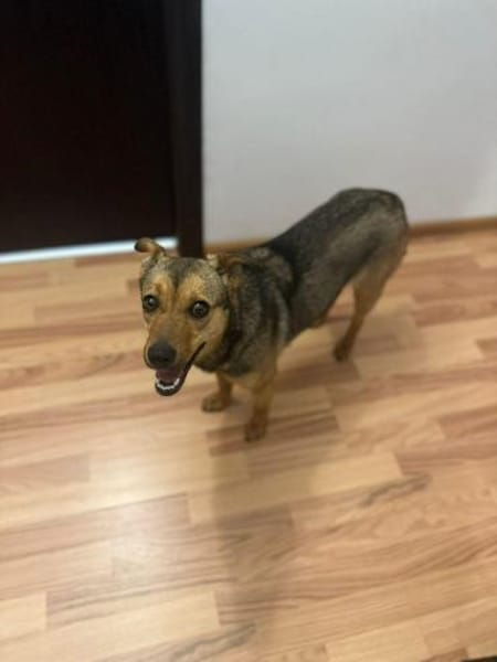 Lea, einfach nur perfekt und zuckersüß