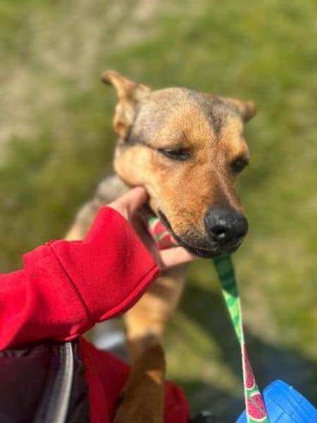 Lea, einfach nur perfekt und zuckersüß