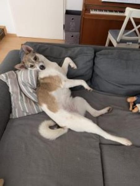 Nina 46 cm (Pflegestelle)