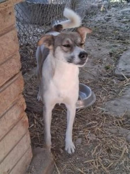 Nina 46 cm (Pflegestelle)